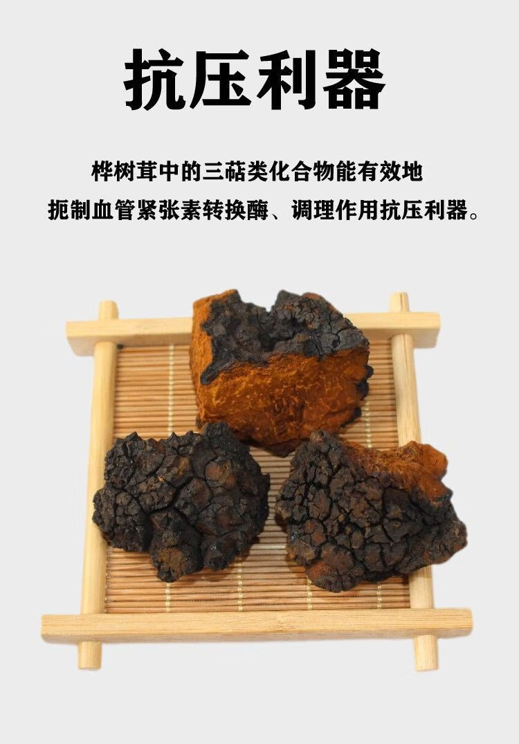 大兴安岭野生桦树茸东北大块白桦茸天然桦褐孔菌茶一斤 整块二斤重