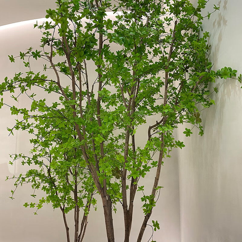 轻奢高端网红仿真日本吊钟树造景绿植室内设计橱窗马醉木北欧ins风