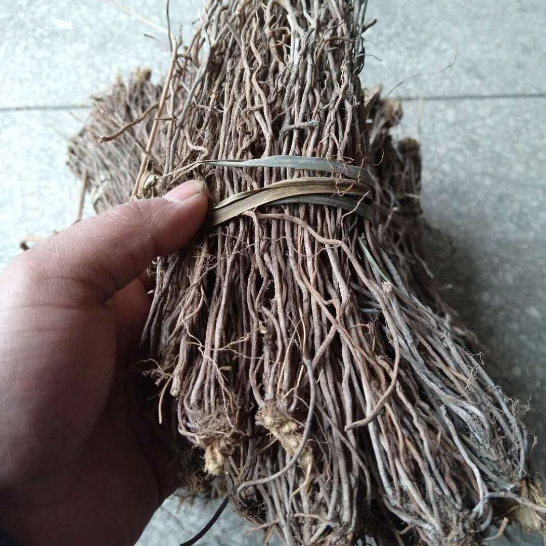 官方旗舰陕西秦岭野生威灵仙新鲜威灵仙干货山辣椒秧根威灵仙根500g