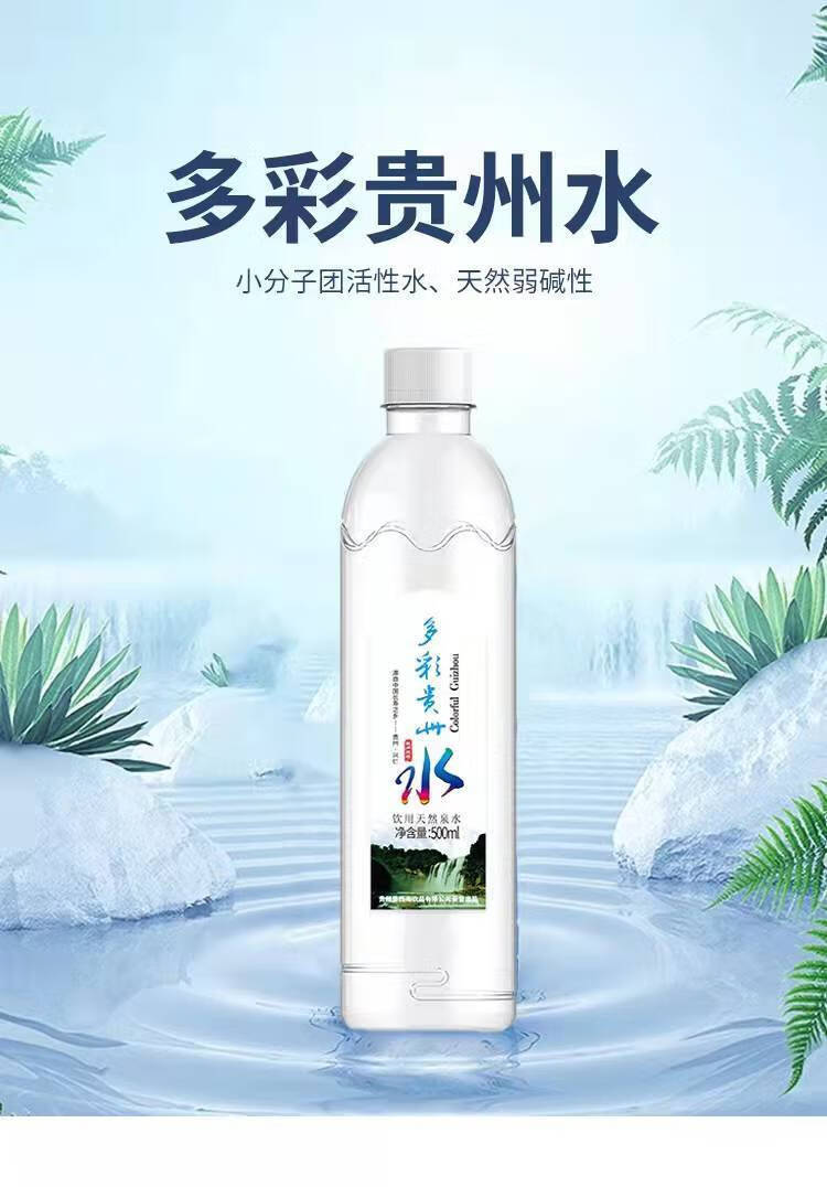 泉水 会议 500ml 1*12瓶箱装【图片 价格 品牌 报价】-京东