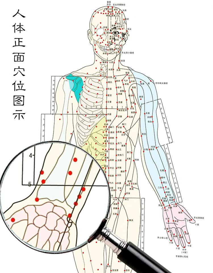 养生馆挂画全身按摩针灸装饰画卷轴挂画 人体经络图一套两幅