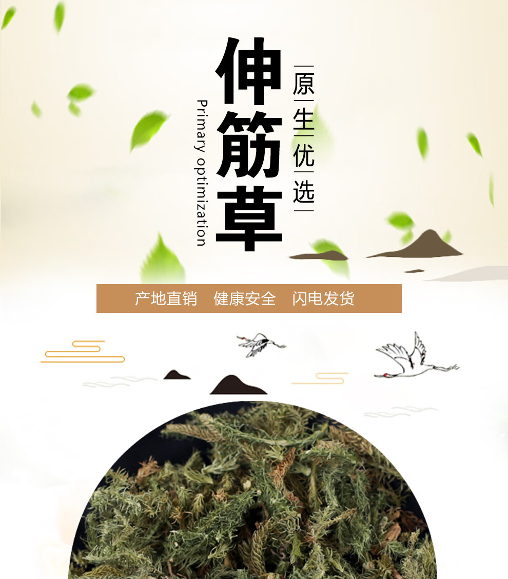 北京同仁堂伸筋草中药材500g散装舒筋草粉狮子尾筋骨草干货有益智仁