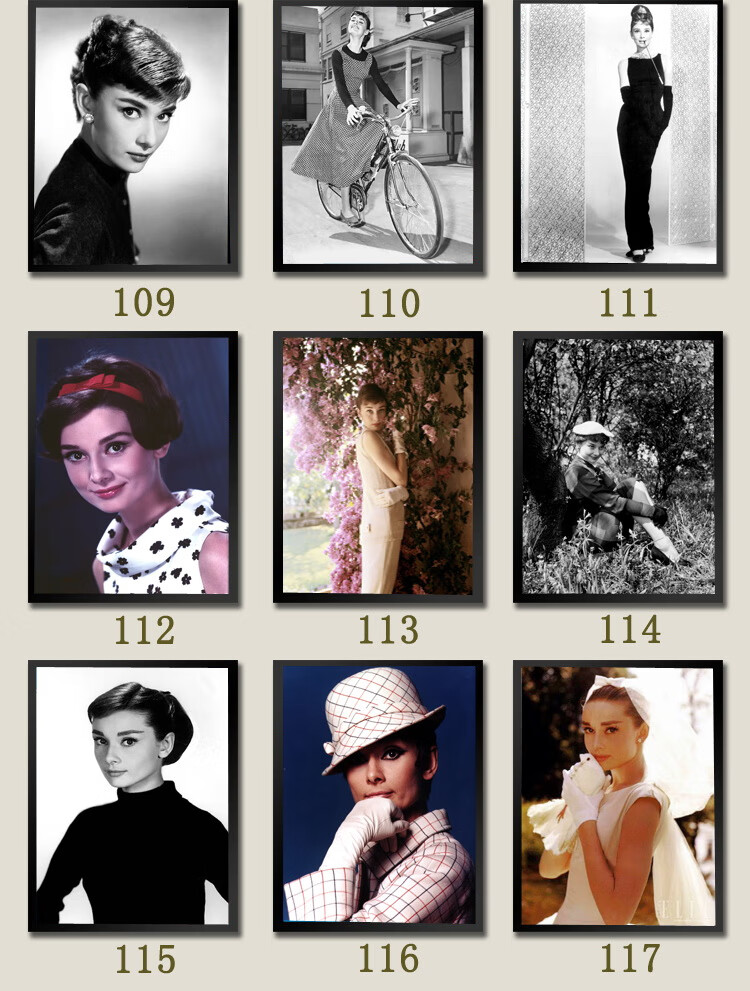 奥黛丽赫本海报画装饰画黑白电影有框画经典挂画客厅壁画墙画 24-10