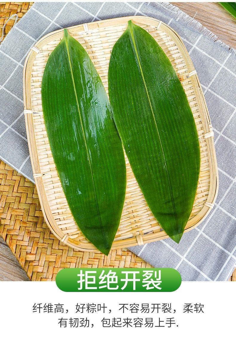 蓝桥哥湖北新鲜粽叶特大号50片100片真空箬叶纯野生新鲜粽叶家用现摘