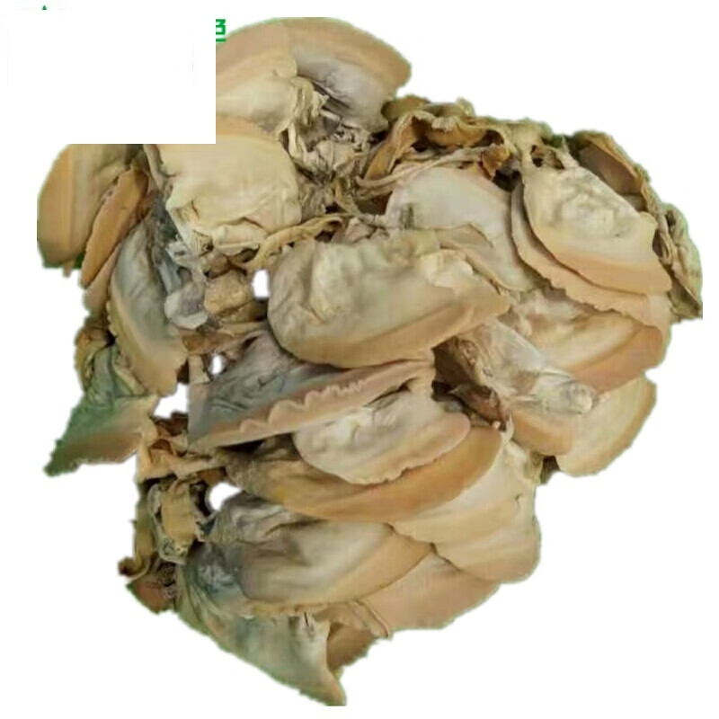 东北新鲜农家晒干河蚌肉干 南邵阳土特产干贝壳肉河蛤蜊肉干货