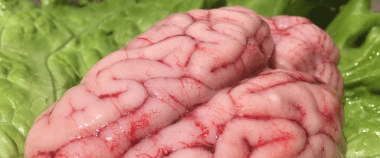 猪脑花新鲜冷冻10副现宰农家笨猪新鲜猪脑火锅烧烤锡纸猪脑花【图片 