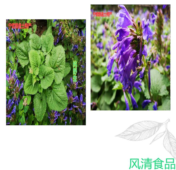 山西茶宁武毛尖茶毛健茶岩青兰红茶毛尖120g盒礼盒装送人送礼