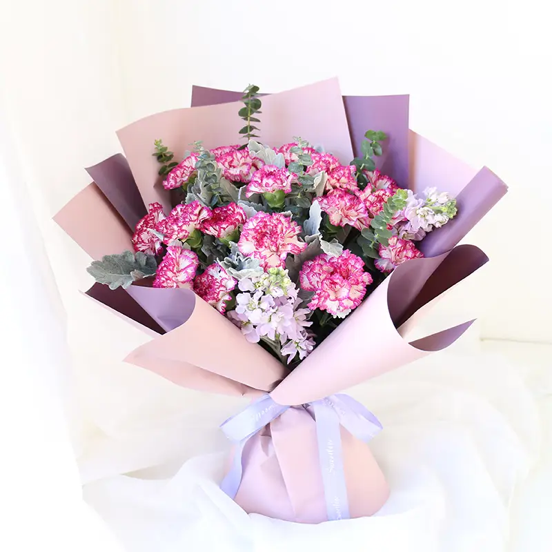 康乃馨花束鲜花速递同城配送生日节日送花送长辈老师母北京上海深圳