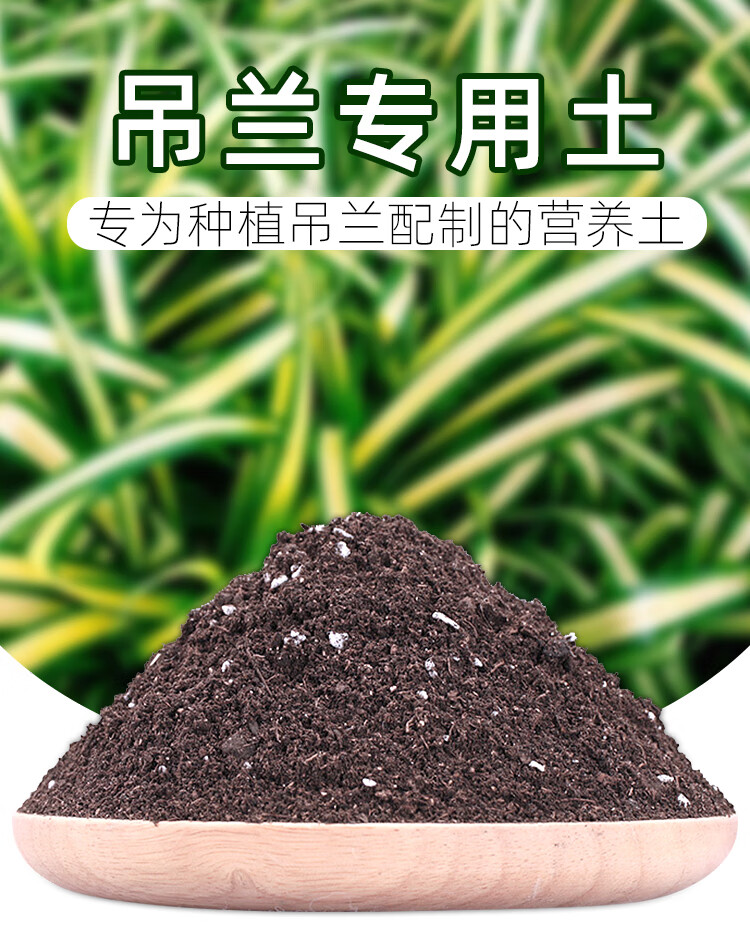 吊兰土 吊兰土专用土壤室内盆栽吊兰种植兰花土君子兰家用种吊兰的