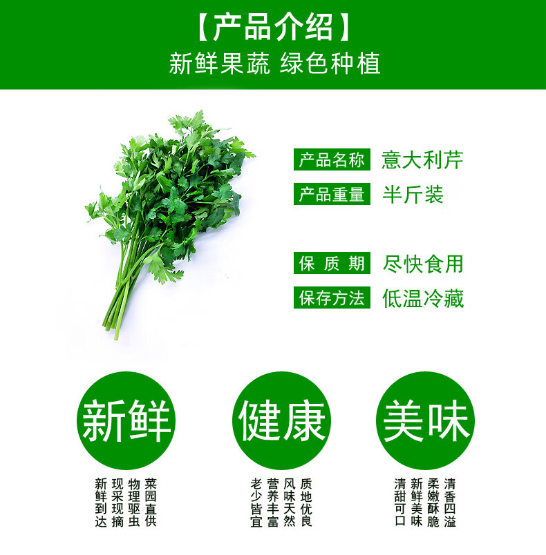 意大利香芹与欧芹图片