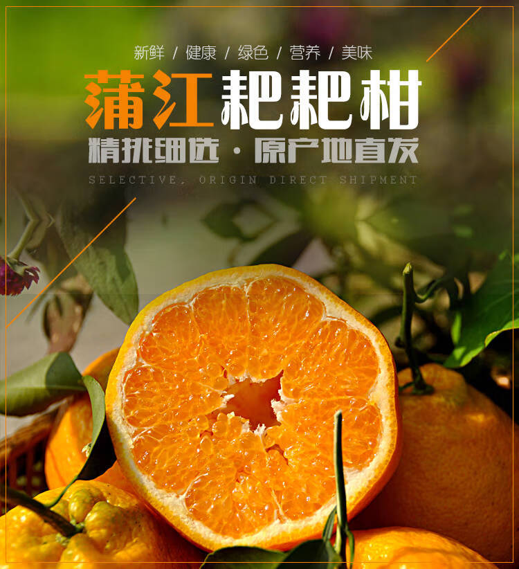 四川蒲江浦江丑橘春见耙耙柑啪啪甘特级杷杷柑粑粑柑爬爬葩葩5斤 80mm