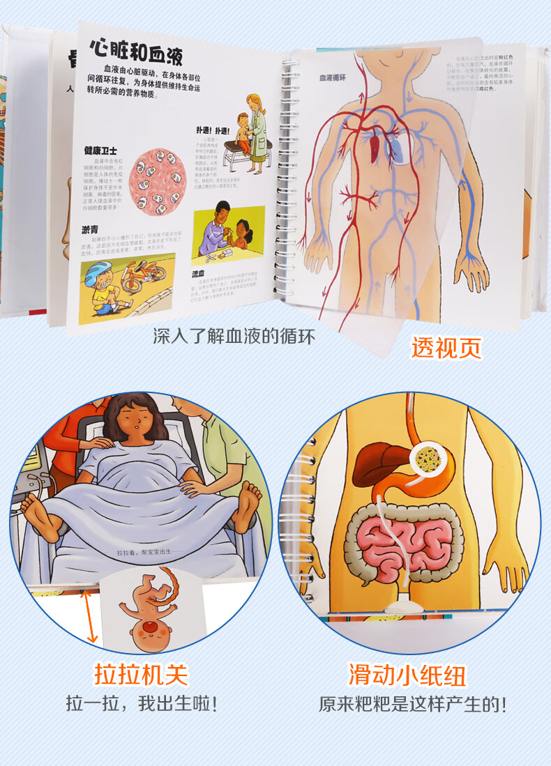 我們的身體科普繪本兒童3d立體書正版圖書0368歲性啟蒙幼兒早教書籍