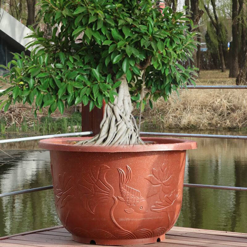 超大圆形仿陶瓷树脂紫砂花盆种大果树种菜庭院阳台养荷花铁树盆景紫砂