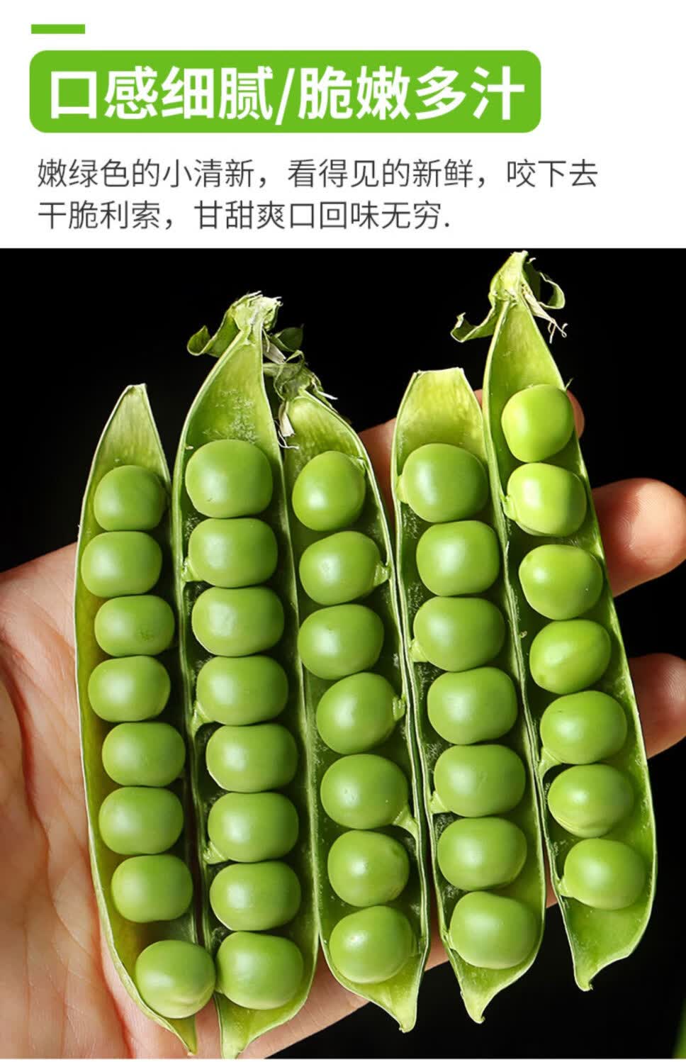 当季嫩豌豆新鲜现摘豌豆荚带壳水果豌豆角颗粒饱满一整箱5斤精选品质