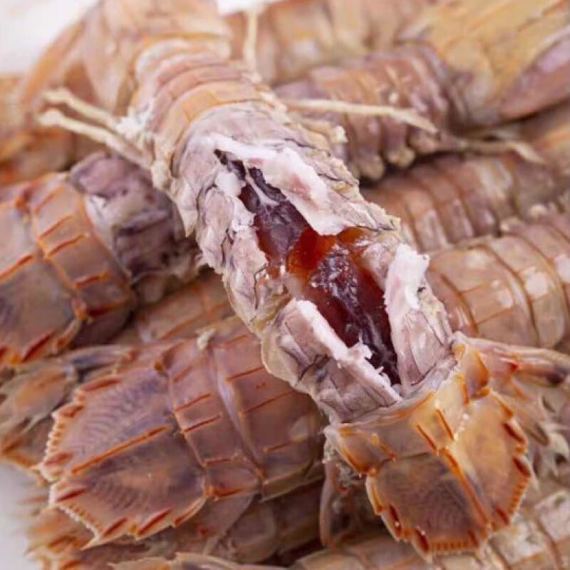 皮皮虾鲜活蒸熟新鲜虾姑大琵琶虾海鲜水产熟冻母皮皮虾虾爬子香津驿站