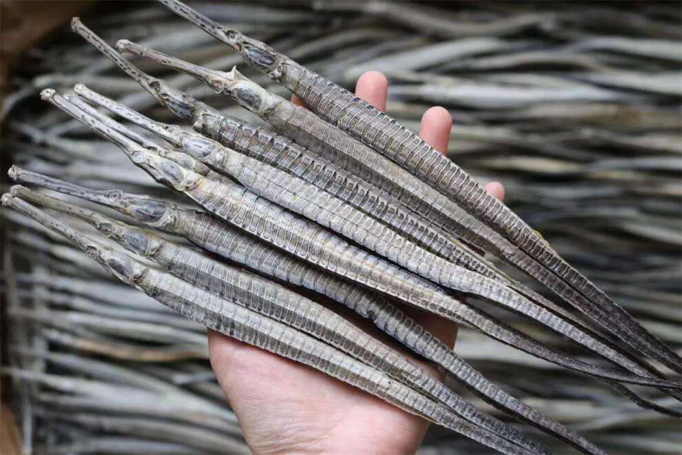 男性滋补品海龙公母干货男人泡酒药材中药材壮煲阳汤 六角海龙3对6只