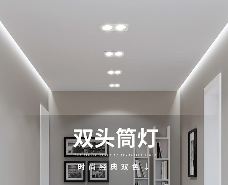 嵌入式天花灯飞利浦斗胆灯双筒灯双排西顿同款开孔816cm10w三色变光