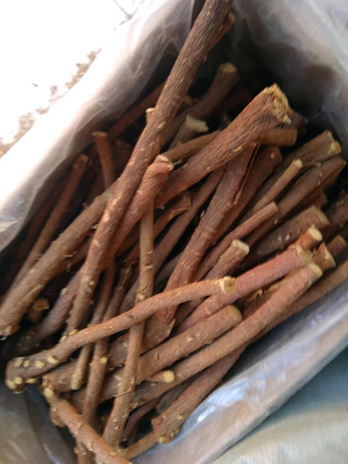 北京同仁堂原料 中药材山西纯野生甘草根新鲜现挖甘草棍甜草根干货