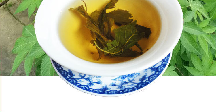 甜茶叶广西金秀甜茶野生大瑶山刺儿茶叶天然无添加糖养生茶 野生甜茶