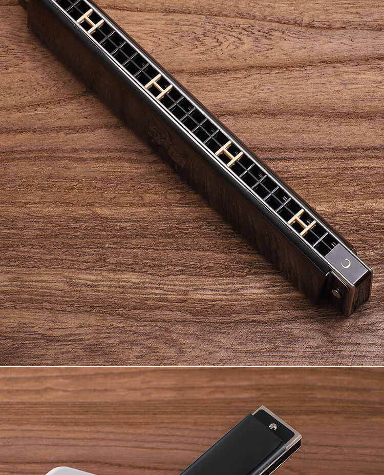 上海24孔口琴专业演奏级儿童学生通用初学者自学入门重音夜空黑全套品