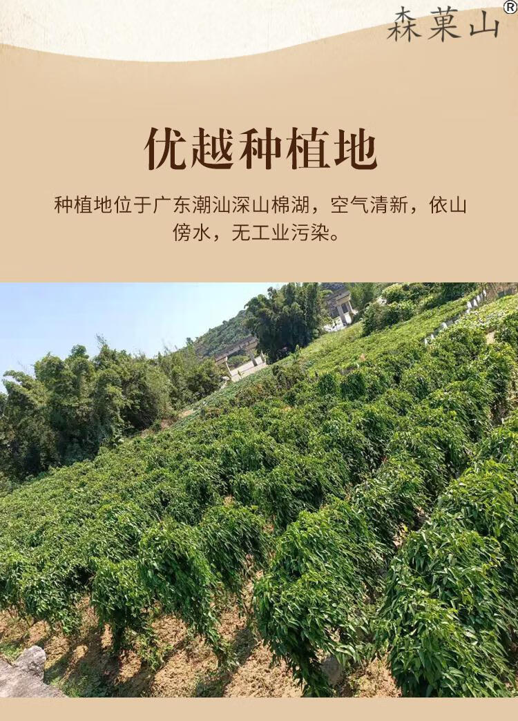 【大条】潮汕姜薯 新鲜姜署 广东特产棉湖姜茨精选大条姜薯 约6条/斤