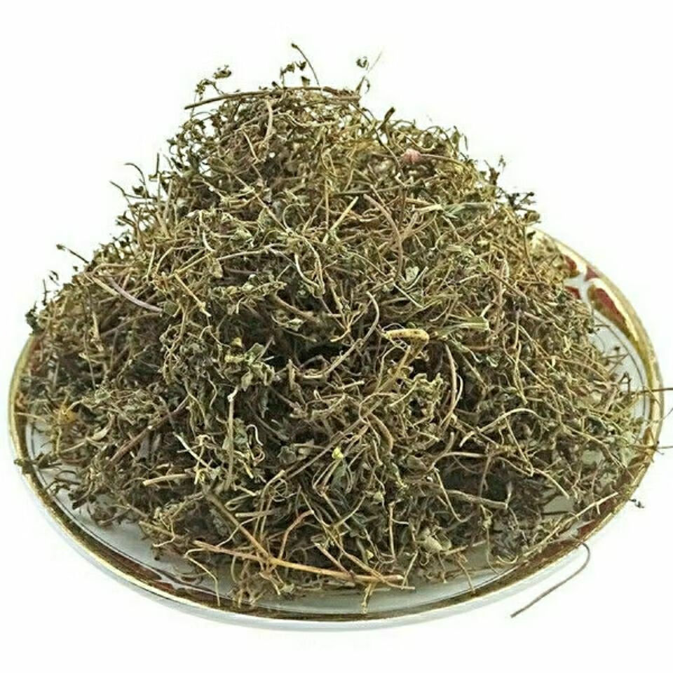 北京同仁堂中药材地锦草血见愁卧蛋草铺地锦奶汁草野生新货500g地锦草