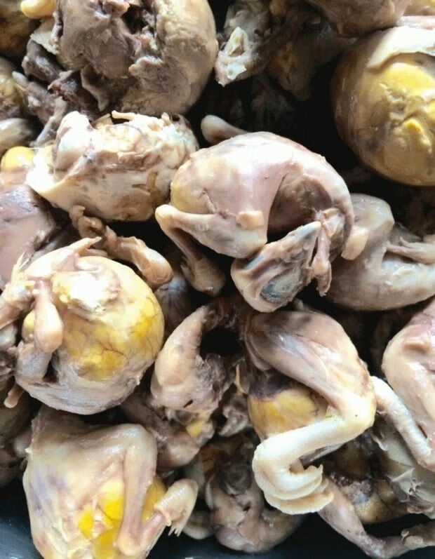 【毛蛋熟】毛鸡蛋喜蛋新鲜鸡胚蛋煮熟去毛真空包装活珠子 10只煮熟去