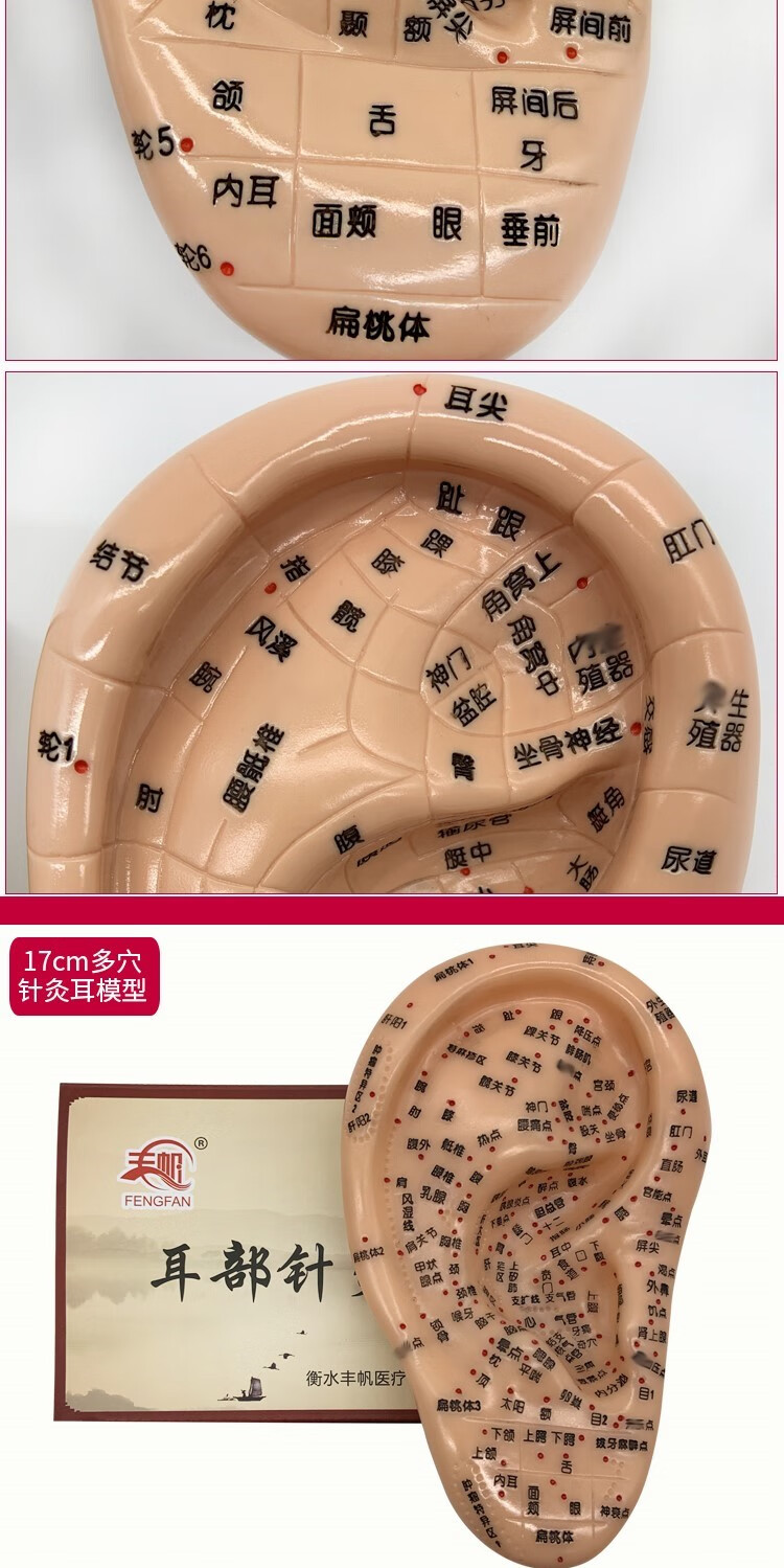 耳穴贴王不留行籽耳穴压豆贴耳贴耳穴贴耳豆穴位模型王不留行籽 17多