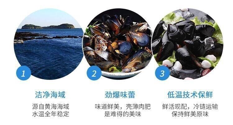 现捕现发青口贝海虹贻贝淡菜新鲜贝类鲜活海鲜水产整箱6斤小号