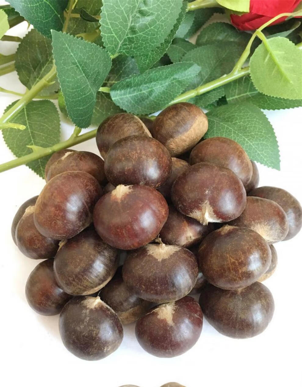 2021年板栗生新鲜正宗栗子大油栗燕山甜糯小毛板粟2斤大粒一元硬币