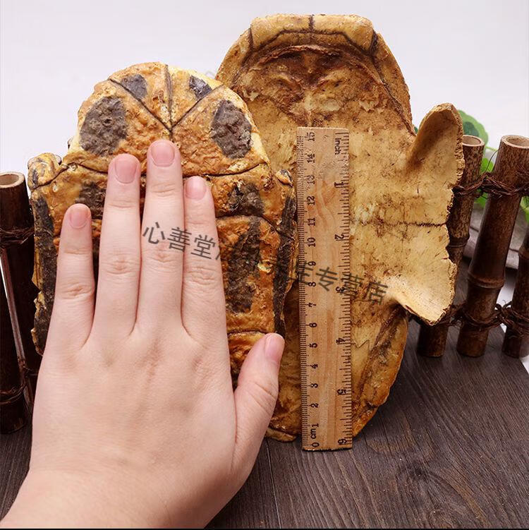 【志医世家】醋龟板中药材醋制炙龟板炒龟板粉龟壳下甲生晒龟板乌龟壳