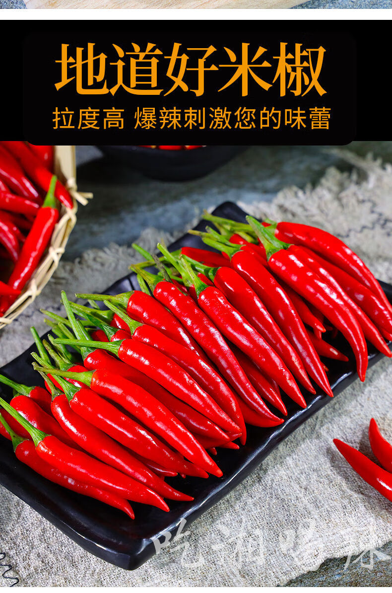 美蒙红米椒小米辣小米椒批发新鲜红色超辣中辣批发价新鲜蔬菜巨辣1斤