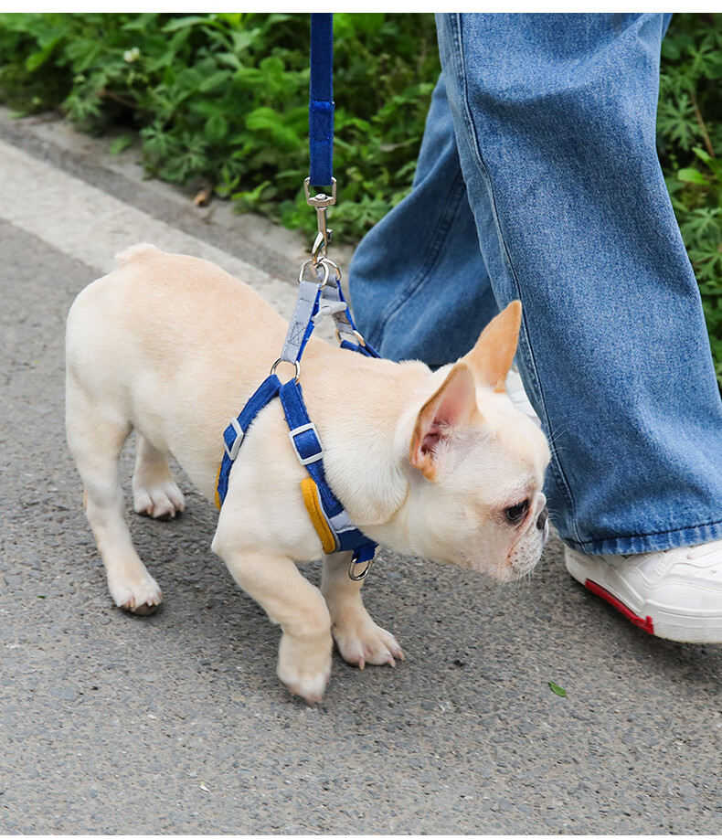 狗狗牵引绳背心式狗绳猫链子遛狗胸背带小中型犬法斗泰迪宠物用品幻海