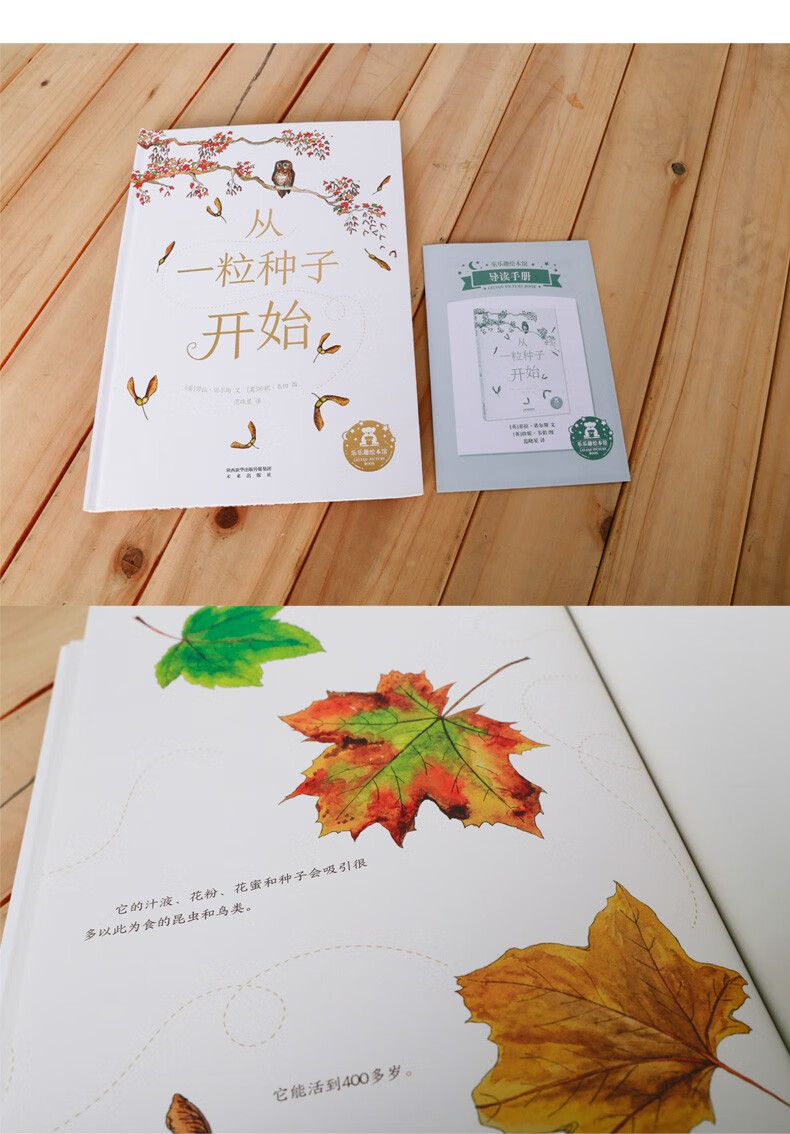 精装硬壳从一粒种子开始乐乐趣36岁儿童绘本故事书