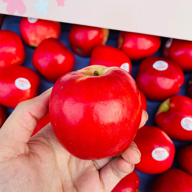 新西兰posy小花苹果脆甜多汁当季精品水果火箭小苹果爱妃宓蝶 精选