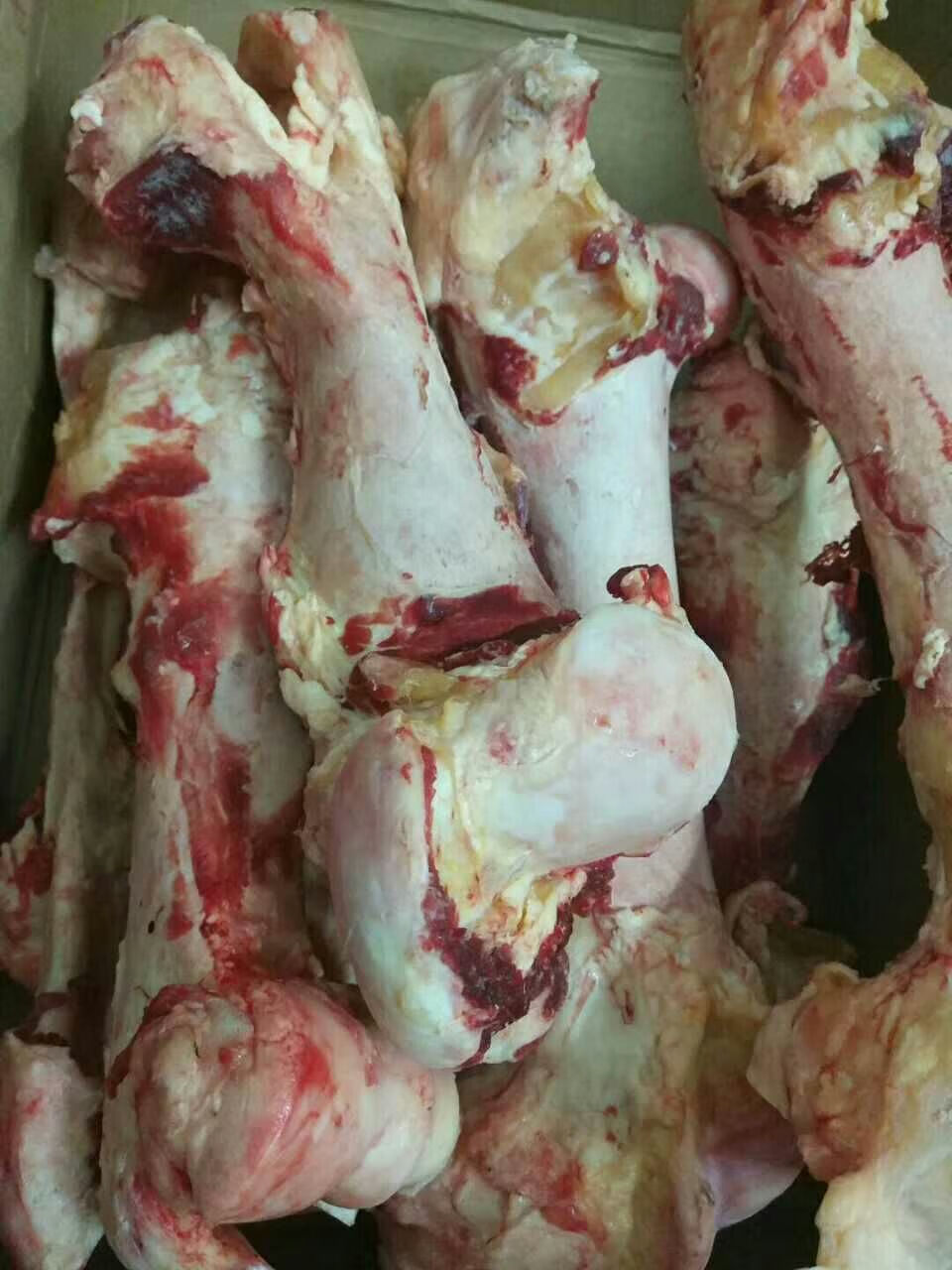 宝然牛筒骨新鲜黄牛骨牛棒骨牛骨头牛骨髓牛大骨牛腿骨