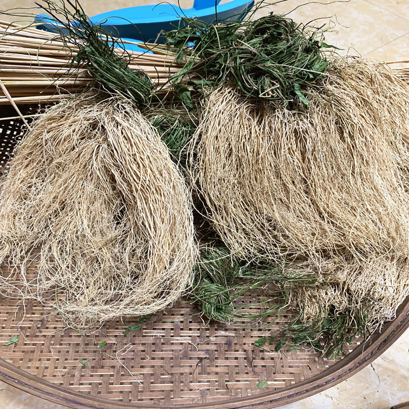 养肝草基地直供 批发丝线根龙须草龙须根草广东汤料食材 5件50小扎