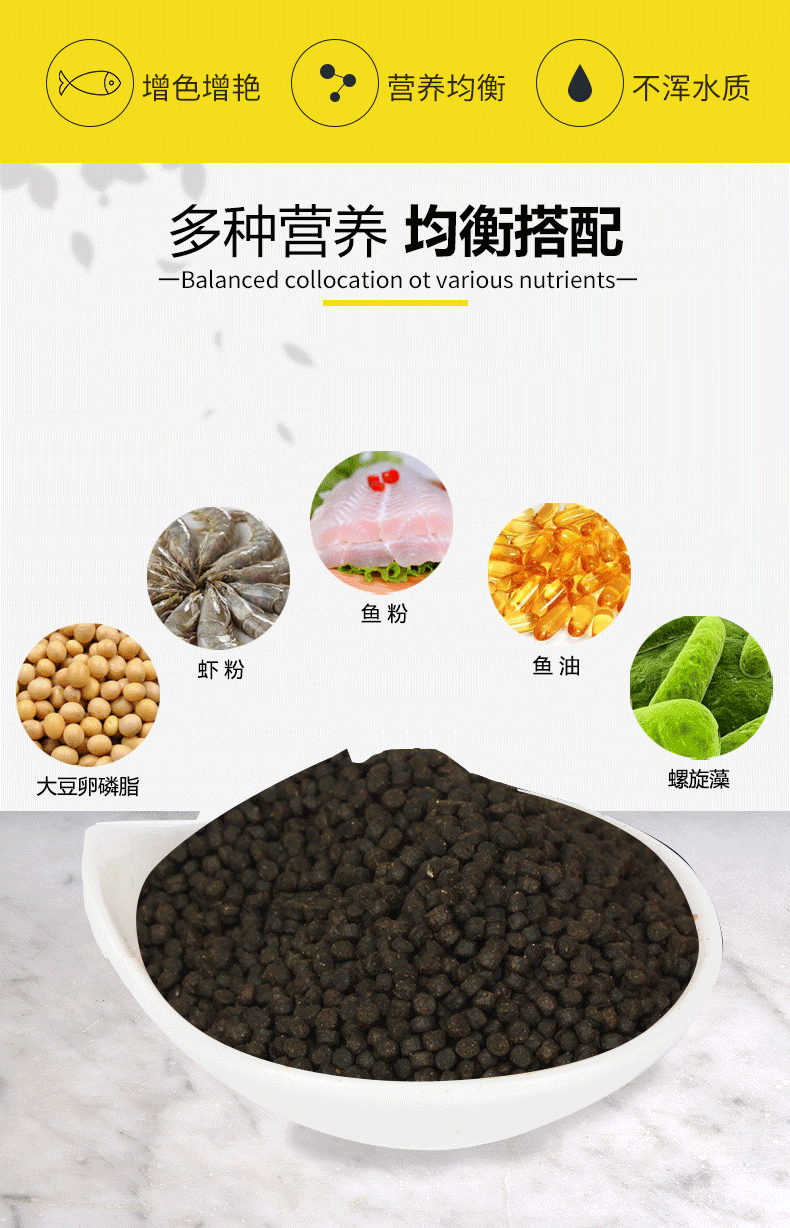 蝾螈六角恐龙鱼饲料六角龙娃娃鱼下沉底型鱼食粮宠物 1mm 蝾螈饲料