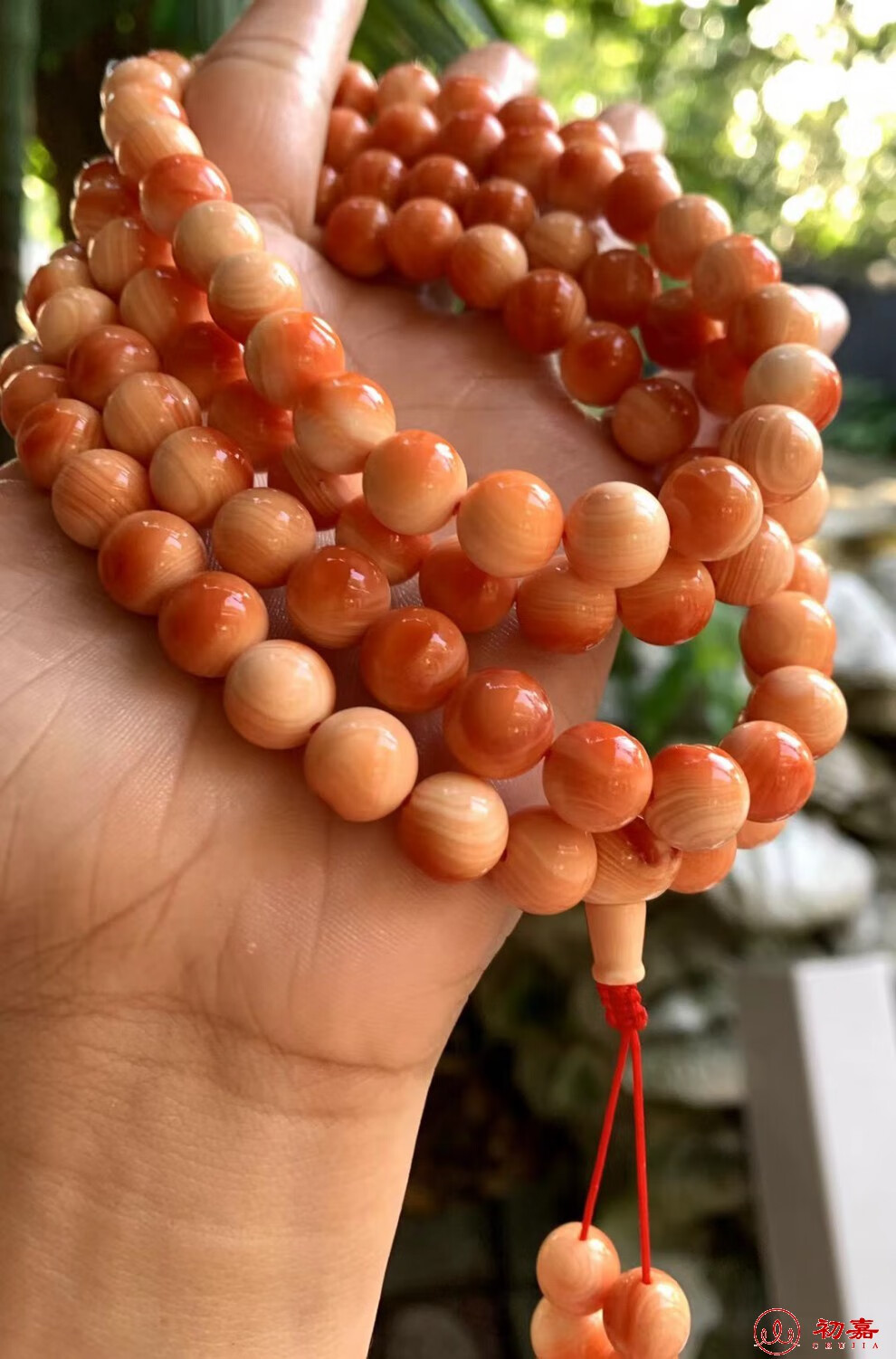 初嘉 万宝螺手串108颗手链 佛珠项链挂件 毛衣链高端本命年挂带血槽