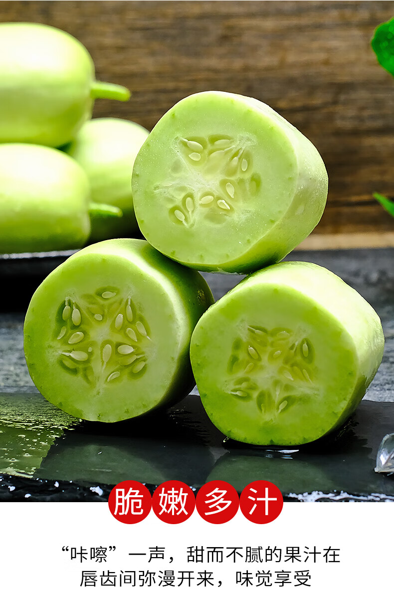山东寿光拇指黄瓜新鲜水果金童玉女小黄瓜蔬菜生吃嫩青瓜水果礼盒时令