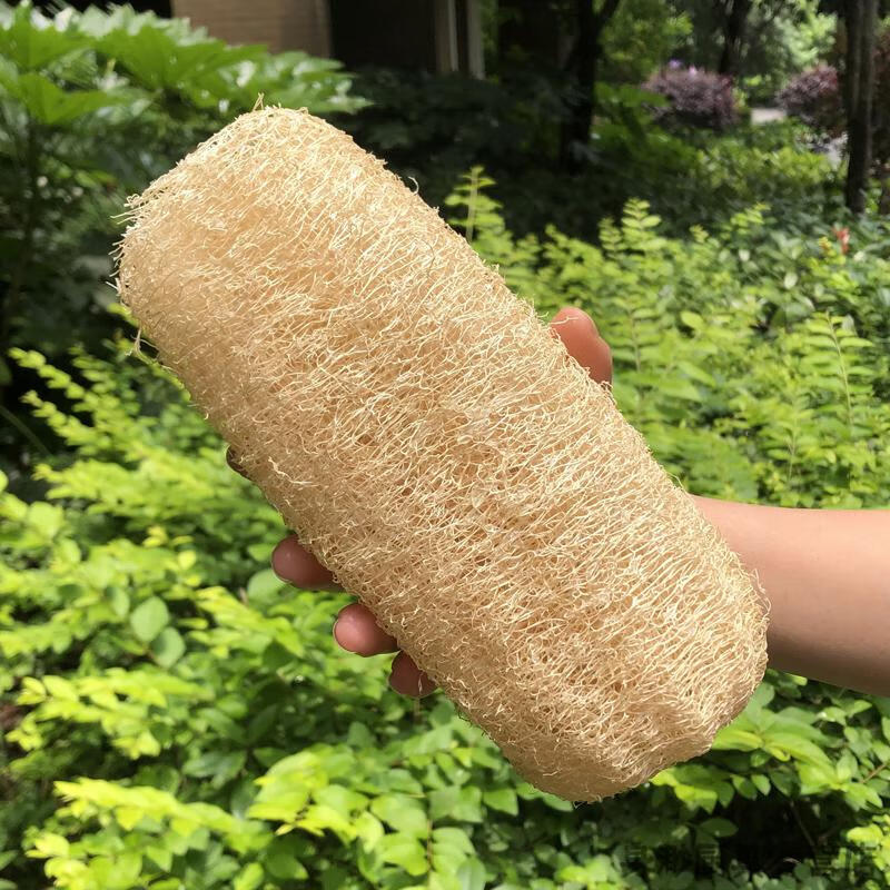 丝瓜瓤干丝瓜瓤洗碗农家超大丝瓜络刷碗锅老瓤子超粗丝瓜藤软长清洁粗