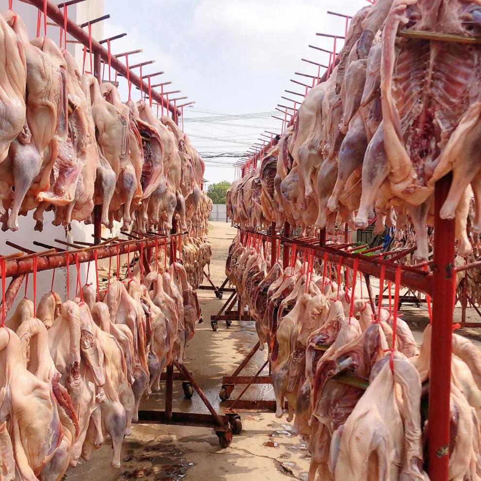 7折 天目湖特产溧阳周城咸鹅农家手工腌制5斤老鹅非