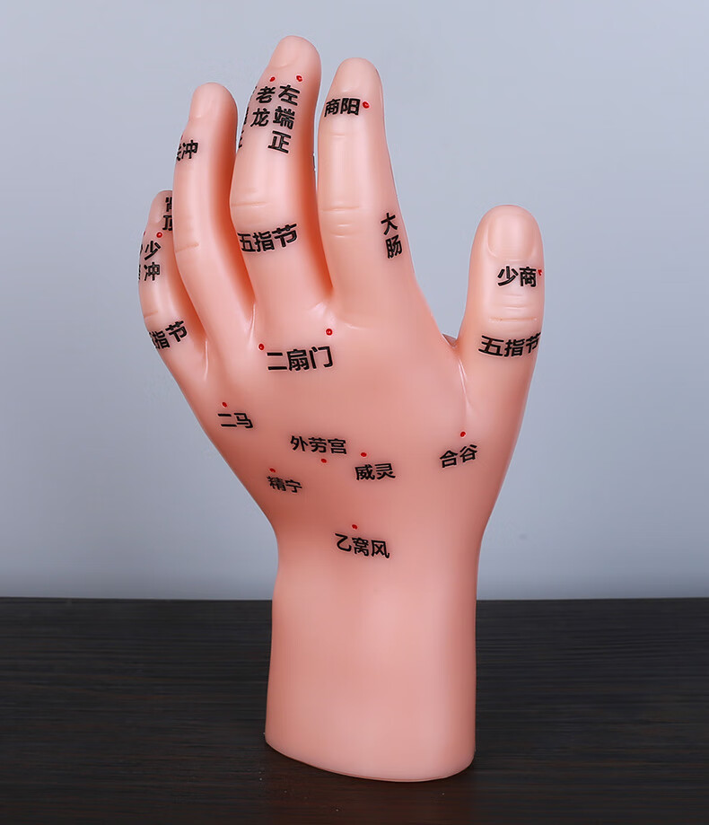 按摩手模型反射区人体针灸模型男女穴位经络针灸中医位手图17厘米