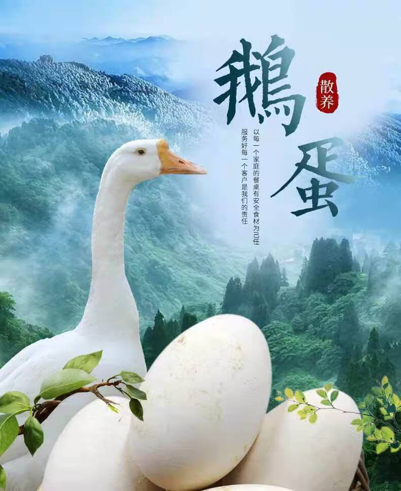 正宗土鹅蛋新鲜特大散养双黄蛋现捡现发6枚装单黄鹅蛋80100克个较小
