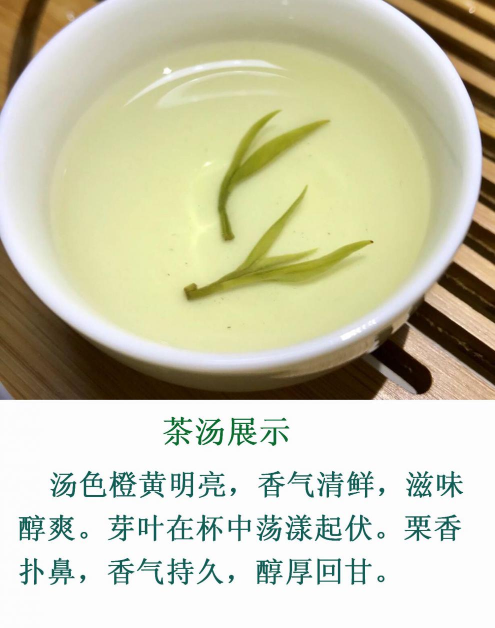 莫干黄芽2021新茶高山云雾绿茶浓香型250克散装德清特产苏伯