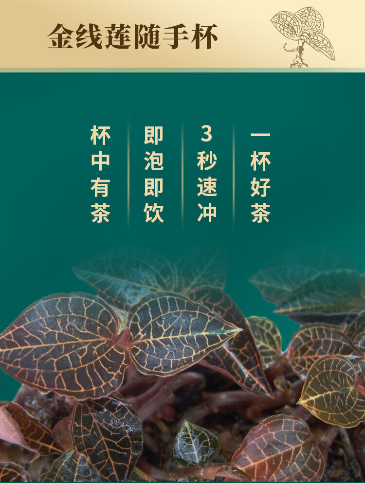 金线莲养生茶金线莲随手杯金线莲养肝茶 杯中有茶 即冲即泡 方便快捷