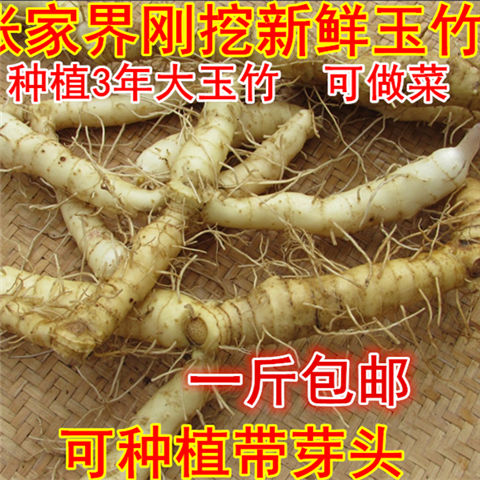 现挖湘玉竹煲汤料玉竹种苗尾参玉竹配麦冬10斤