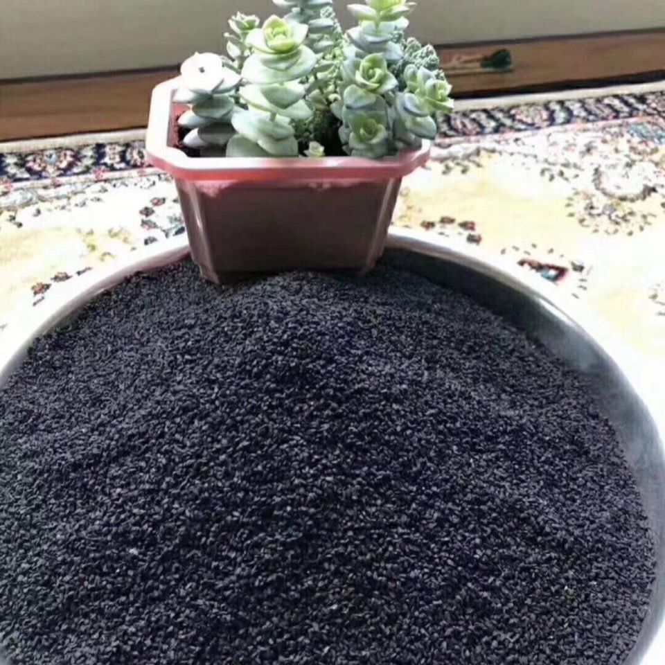 阿拉伯黑籽黑籽干净无杂质黑草种子 250克半斤袋装【图片 价格 品牌