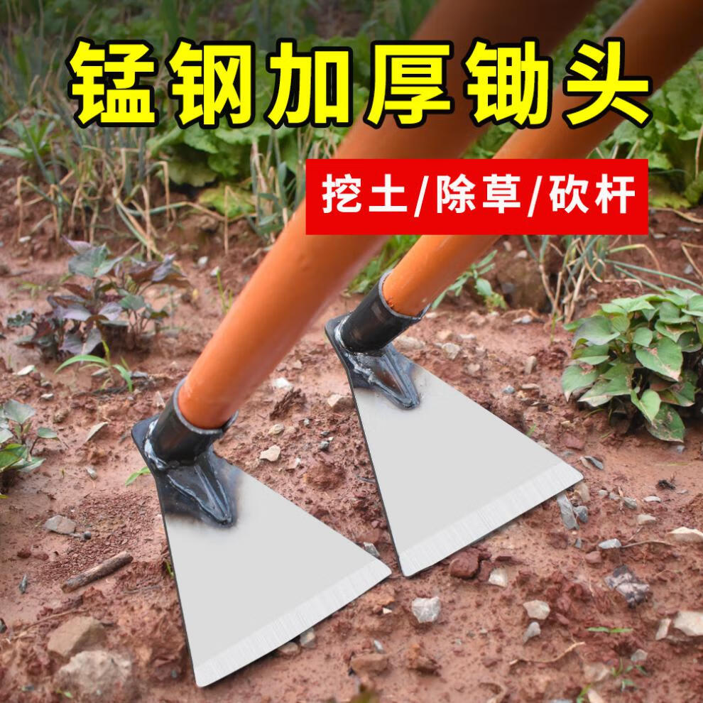 8d0d3e45-4350-4003-8c04-e0d906a83124.jpe