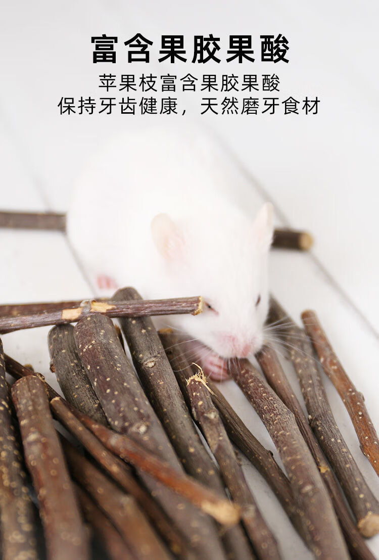 仓鼠磨牙棒磨牙兔子苹果玩具小龙猫木金丝熊补钙树枝苹果枝小宠磨牙